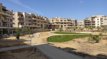 imgi_13_IMG_20211202_120719-scaled